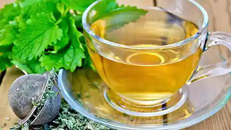 TEA & INFUSIONS
